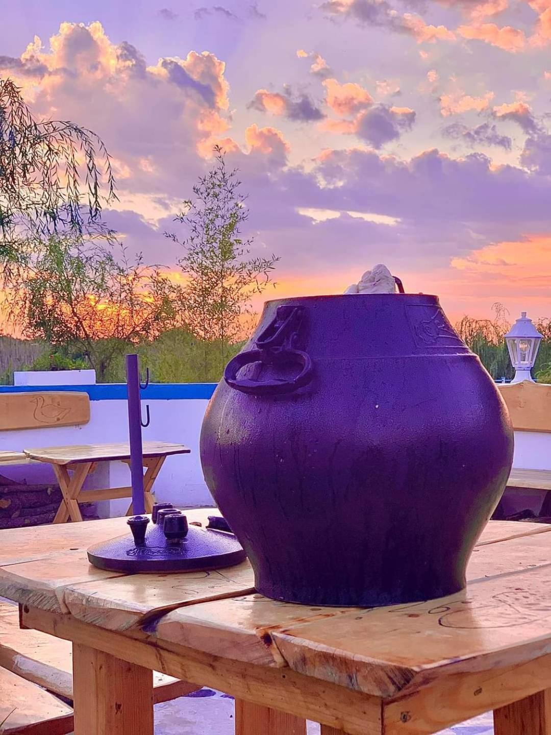 Pensiunea Prigoria Otel Murighiol Dış mekan fotoğraf