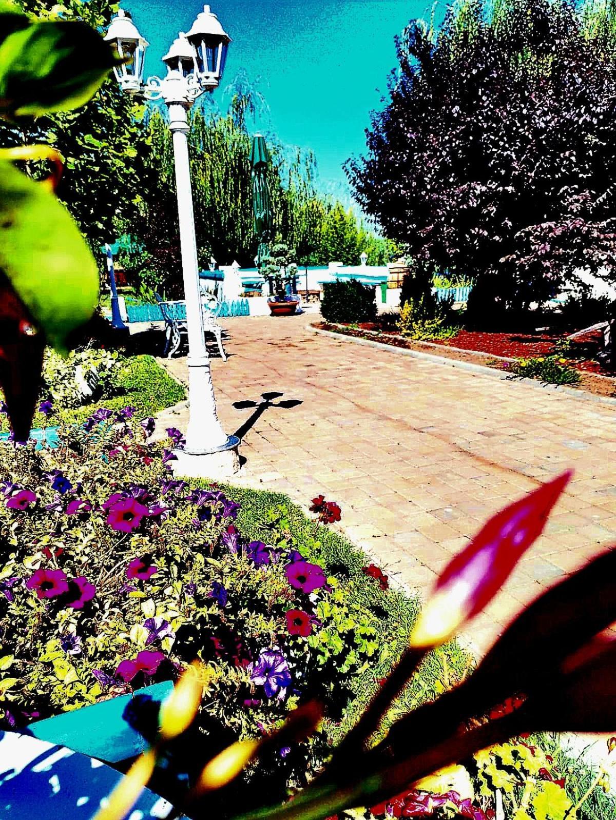 Pensiunea Prigoria Otel Murighiol Dış mekan fotoğraf